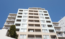 �R���Z�{�[���Q�P����