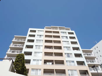 �R���Z�{�[���Q�P�����O��