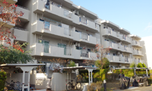 �G�X�e�[�g�ߖq3