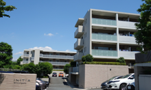 �C�j�V�A�V�S�����u