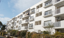 �^�E���n�E�X����