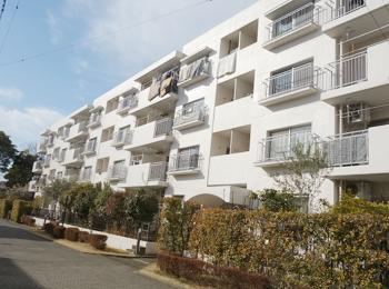 �^�E���n�E�X�����O��